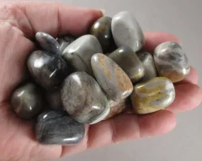 30% OFF!  Picasso Jasper Polished Stones 3pc t108**