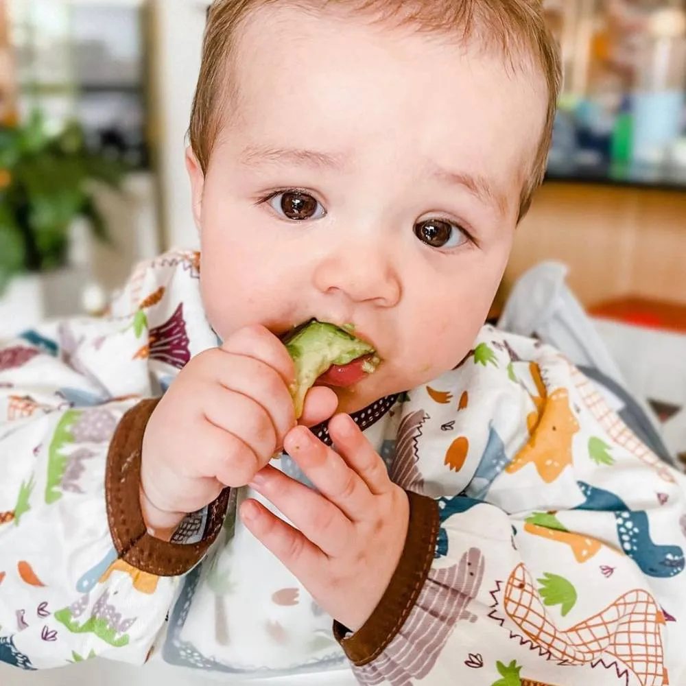 Baby Long Sleeve Apron Smock Bib Dinosaur & Friends