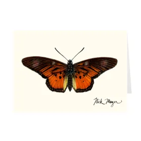 Clark's False Acraea Notecards