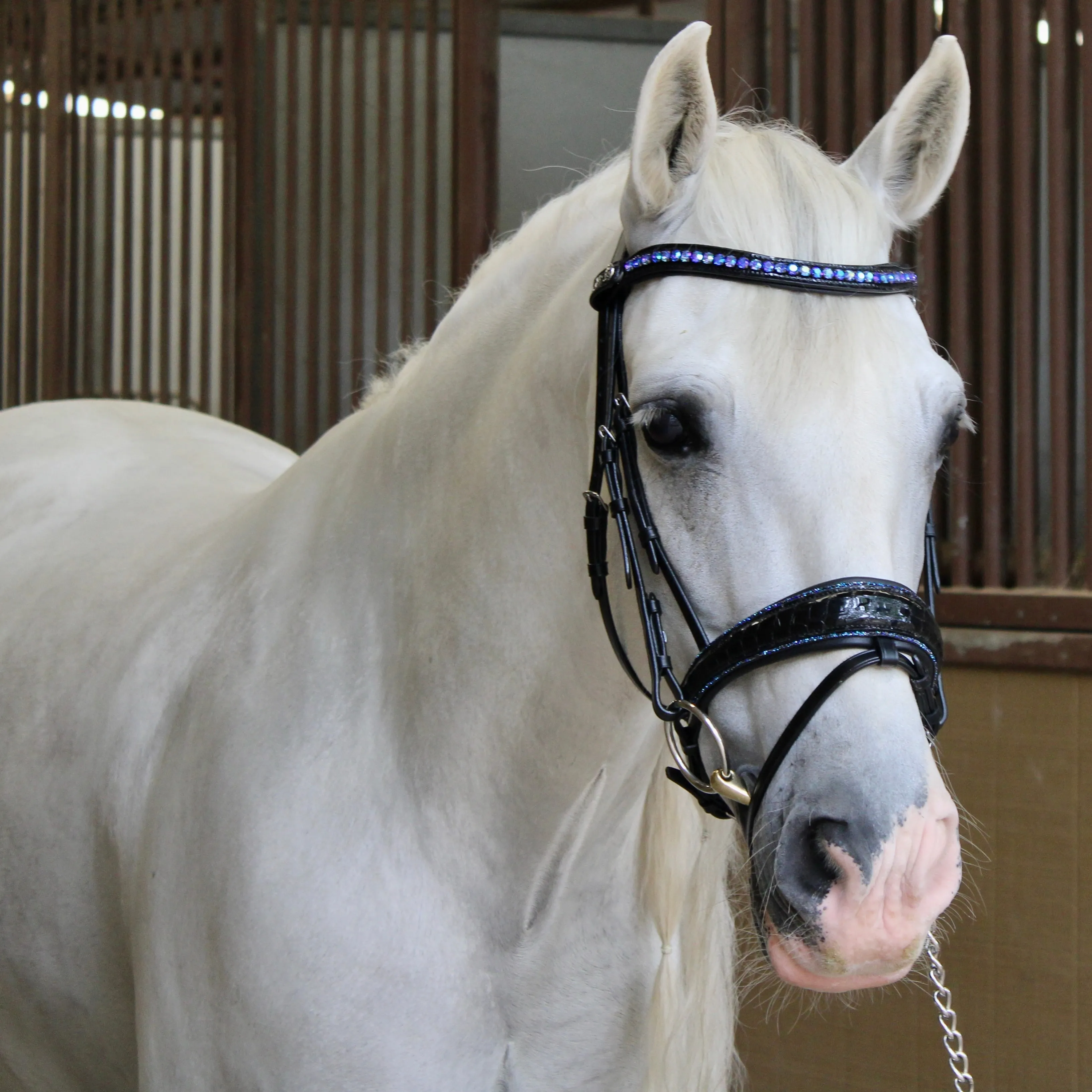 The Sapphire Black Patent Bermuda Blue Rock Crystal Snaffle Bridle